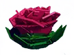 briarrose