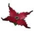 monsterflower