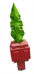 radish